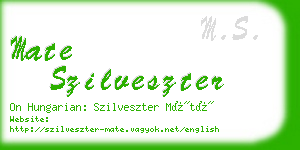 mate szilveszter business card
